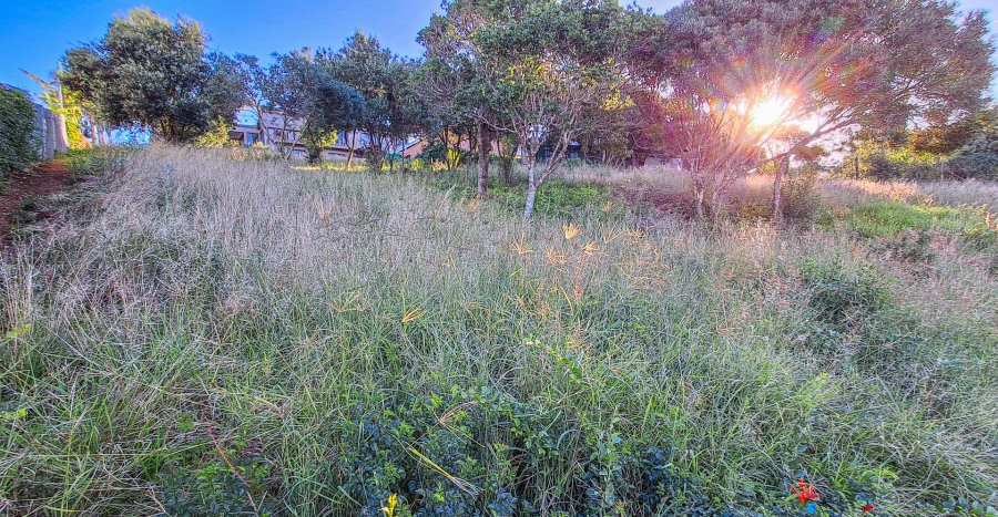 0 Bedroom Property for Sale in Bergsig Western Cape